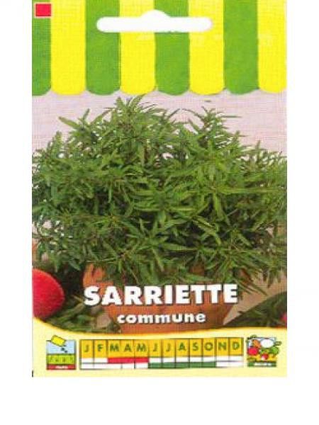 Sarriette commune