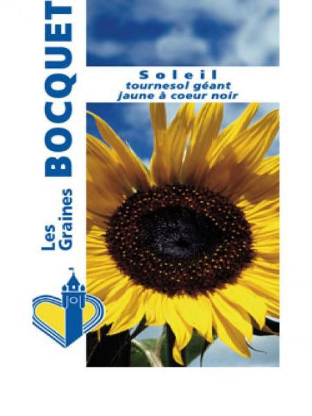 Soleil 'Géant jaune à coeur noir'