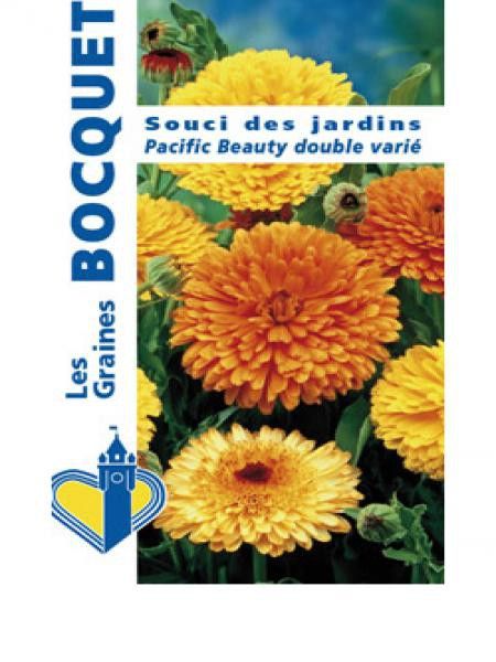 Souci des jardins 'Pacific Beauty double' en mélange