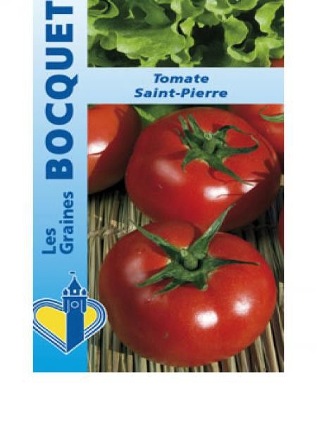 Tomate 'Saint Pierre'
