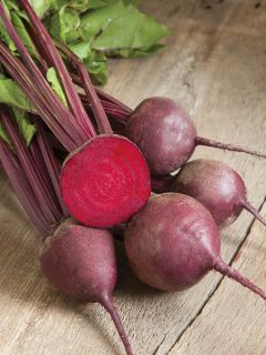 Betterave rouge Red Ace F1 - Beta vulgaris