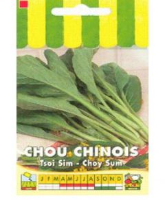 Chou de Chine Tsoi Sim Choy Sum - Brassica rapa