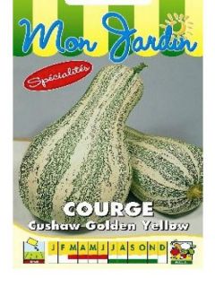 Courge Cushaw Golden 