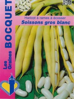 Haricot Soissons Blanc à rames Bio - Ferme de Sainte Marthe 