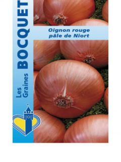 Oignon Rouge Pâle de Niort (Roja de Niort) - Allium cepa
