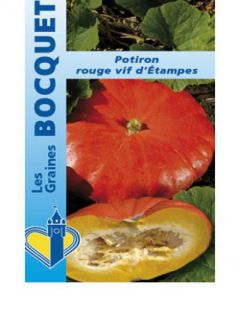 Potiron rouge vif d'Etampes - Cucurbita maxima