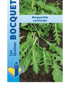 Roquette Cultivée - Eruca sativa