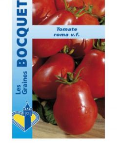 Tomate Roma - Tomate allongée - Plants de tomate