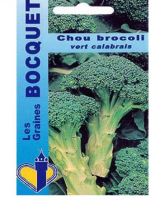 Chou Brocoli Vert Calabrais