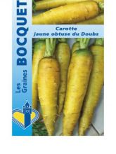 Carotte fourragère jaune du Doubs - Daucus carota