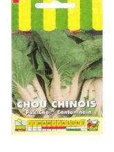 Chou de Chine Pak Choi Canton nain - Brassica pekinensis