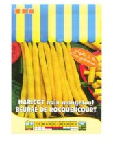 Haricot nain mangetout Beurre de Rocquencourt