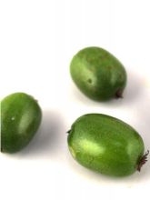 Kiwi, Kiwai 'Vitikiwi'