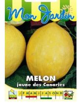 Melon Jaune Canari 2 - Cucumis melo