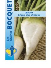 Navet Blanc Dur Hiver - Brassica rapa