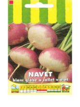 Navet Blanc Globe Collet Violet - Brassica rapa