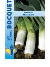 Poireau Malabare - Allium porrum   