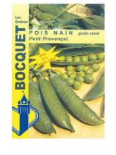 Pois nain Petit Provencal (grains ronds) - Pisum sativum