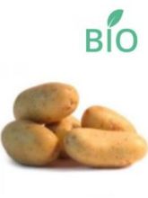 Pommes de terre Bernadette Bio B - Solanum tuberosum