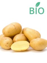 Pommes de terre Blanche Bio - Solanum tuberosum