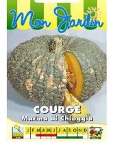Potiron Marina Di Chioggia - Courge - Cucurbita maxima