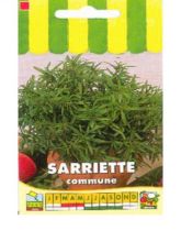 Sarriette annuelle - Satureja hortensis