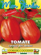Tomate Cornue des Andes - Tomate poivron