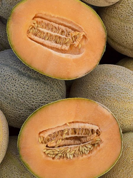 Melon 'Rerato Degli Ortolani Bio'