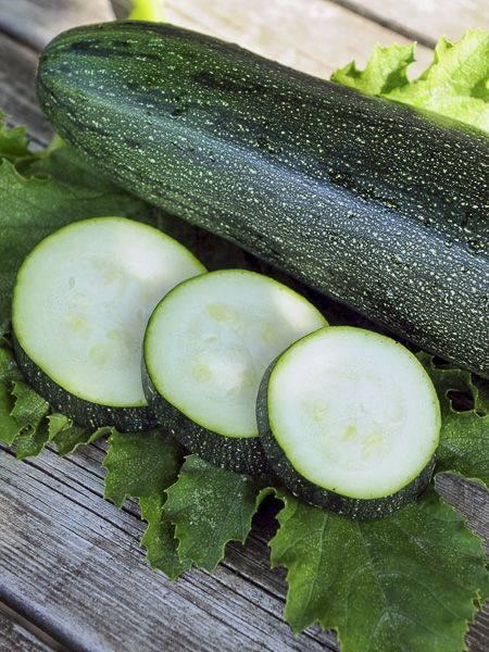 Courgette 'Baccara'