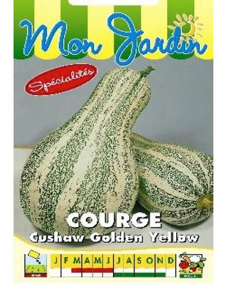 Courge 'Cushaw Golden Yellow'