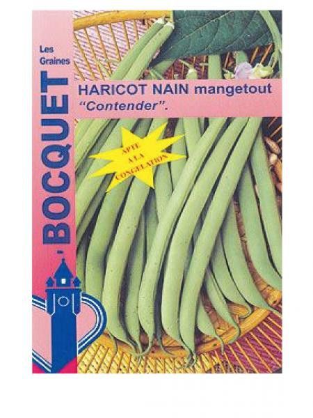HARICOT Vert nain CONTENDER LEG-0029 Phaseolus Vulgaris 100 gr et
