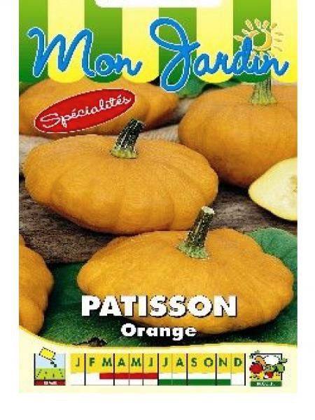 Patisson orange