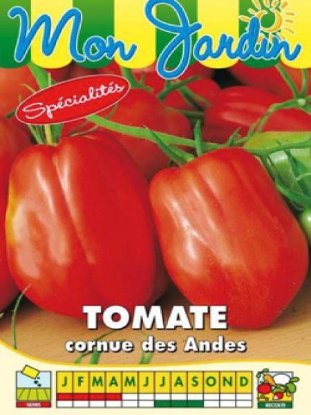 Tomate Cornue des Andes