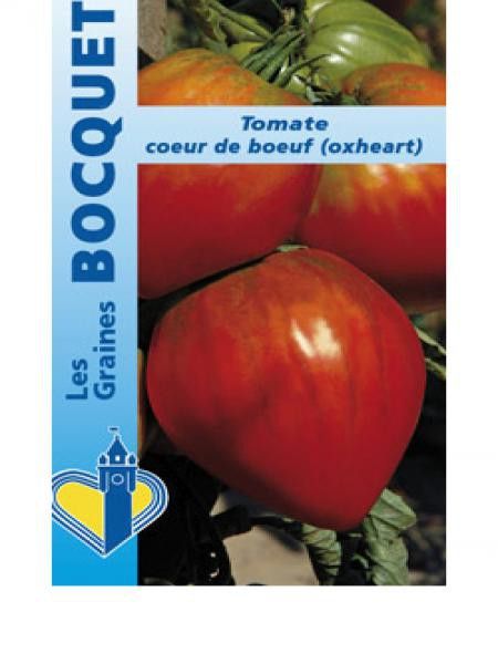 Tomate 'Oxheart Striped'